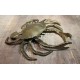 Cendrier "crabe" années 60