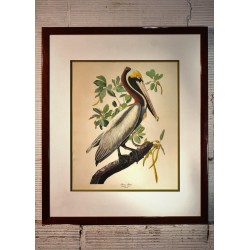 Cadre ornithologie Pelican années 60